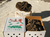 黒保根の天然なめこ